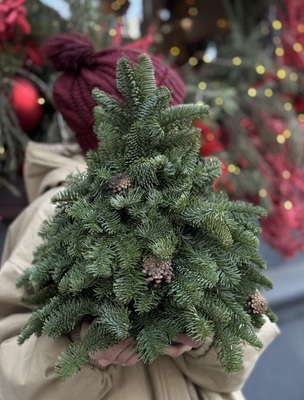 Елка натуральная из нобилиса  - Доставка цветов в Екатеринбурге