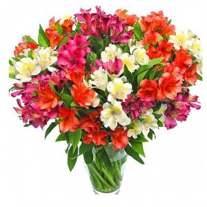 Парад чисел продолжается! Теперь мы любим 49-50! - Доставка цветов в Екатеринбурге