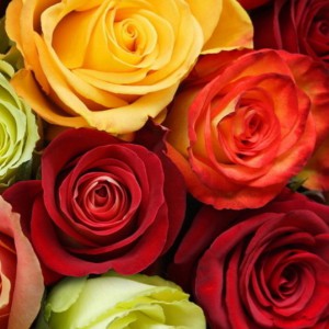 Новая серия букетов "Жаркая Африка" - Доставка цветов в Екатеринбурге