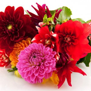 Обновление и расширение акции ВСЕ по 999 руб. - Доставка цветов в Екатеринбурге