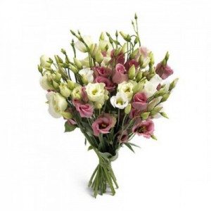 Скидка 30% на эустому. - Доставка цветов в Екатеринбурге