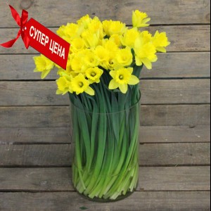 Супер акция на нежность и красоту - Доставка цветов в Екатеринбурге