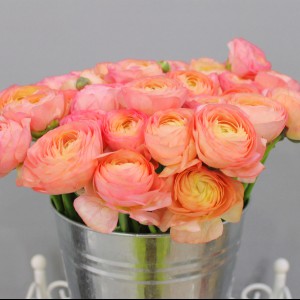 Открыт сезон ранункулюсов! - Доставка цветов в Екатеринбурге