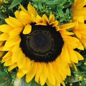 Специальная коллекция  букетов к 1 сентября - Доставка цветов в Екатеринбурге