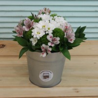 Фотосесия букета в ведерке "Спасибо за все!"