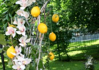 Фрагмент оформления арки